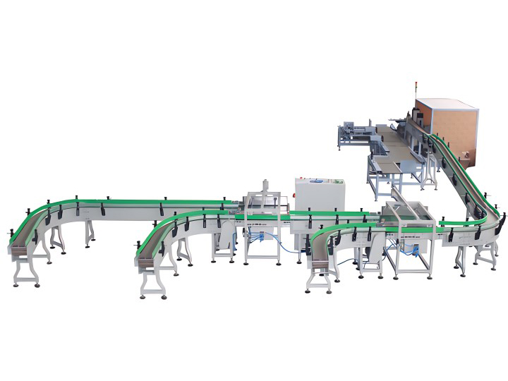 Automatic Box Packing Line, fully automatic packing and palletizing line