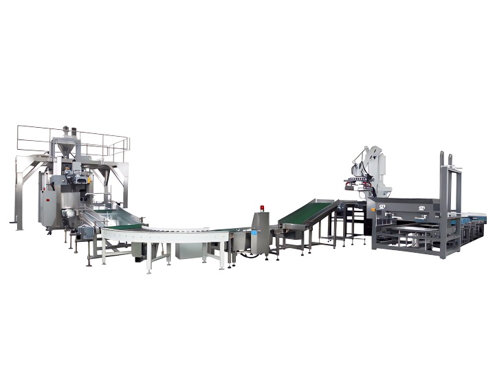 Automatic Case Packing Line, Fully Automatic Case Packing and Palletizing Line