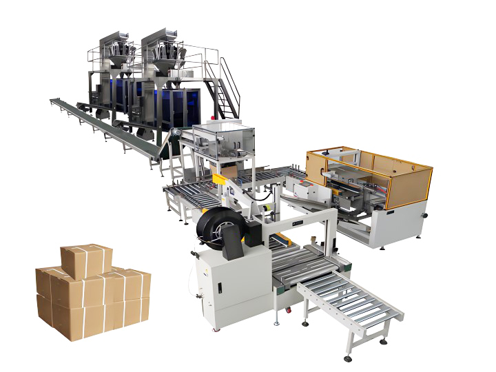 Automatic Case Packing Line, Fully Automatic Case Packing and Palletizing Line