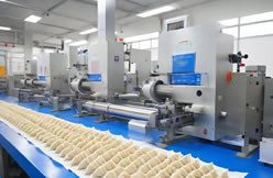 Southeast Asia quick-frozen dumplings intelligent packaging project successfully landed! -30 low-temperature heat sealing technology enables efficient production