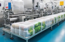 High-efficiency pre-prepared food vacuum packaging production line solutions help companies upgrade their preservation technology