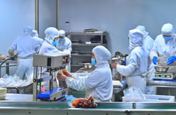 ‌Spring Festival production defense: How does our factory's intelligent packaging equipment help customers win the battle against labor shortage? 
