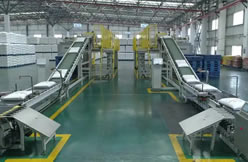 Guardian dancing with dust-remembering the explosion-proof packaging production line we built for a central enterprise