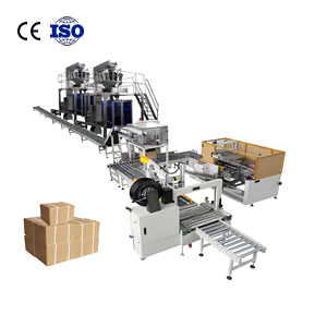 AI-Powered Automatic Case Packing Line | 800+ Cases/Hour with Robotic Palletizing Integration