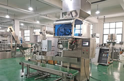 A Brazilian food factory's packaging machine price breakthrough 